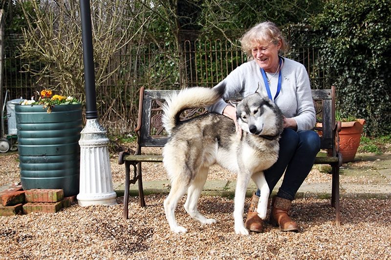 Pet Friendly Rye Saltcote Place